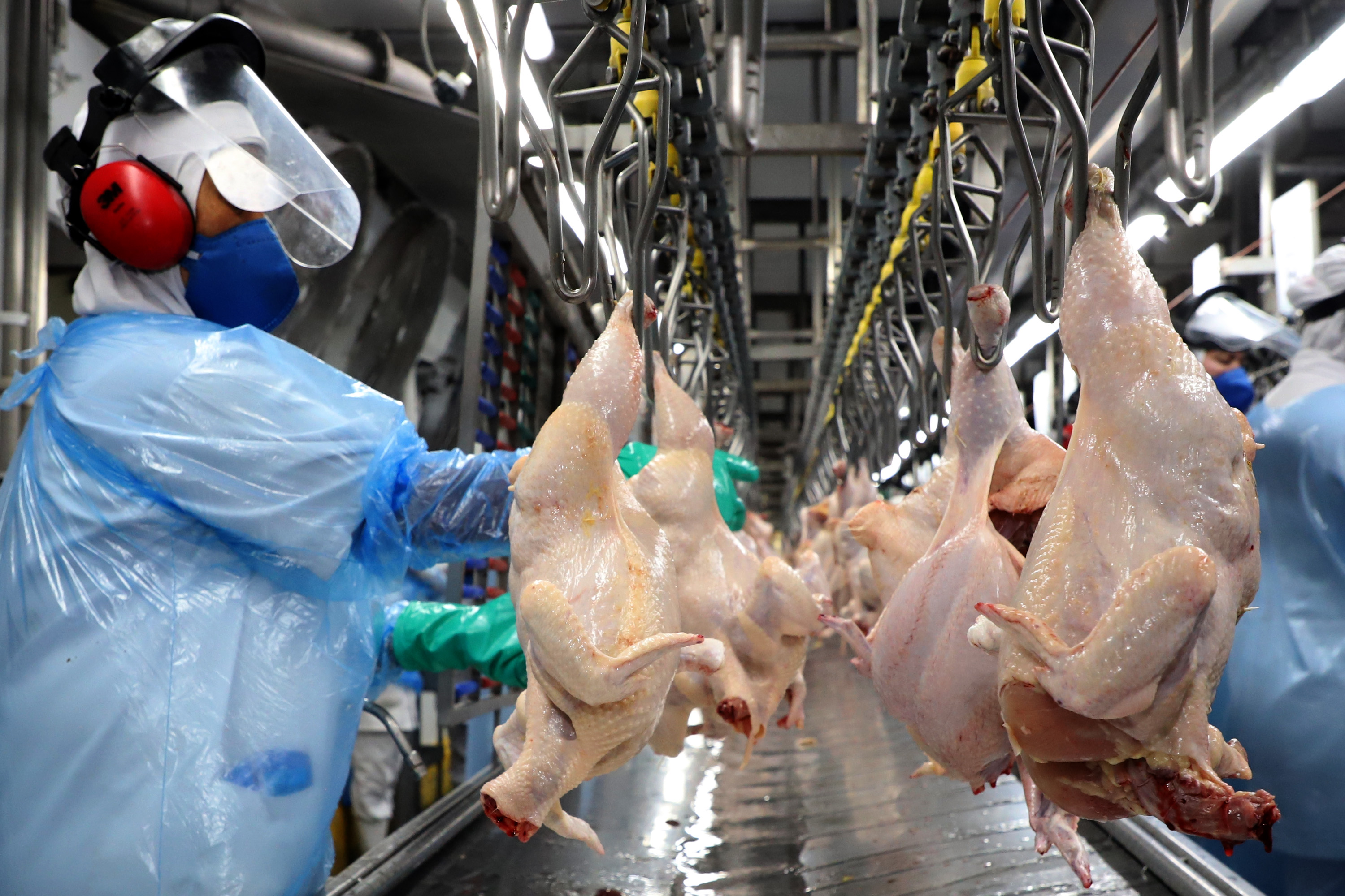 Exportações do Paraná alcançam US$ 14,4 bilhões entre janeiro e julho, alta de 13,3%