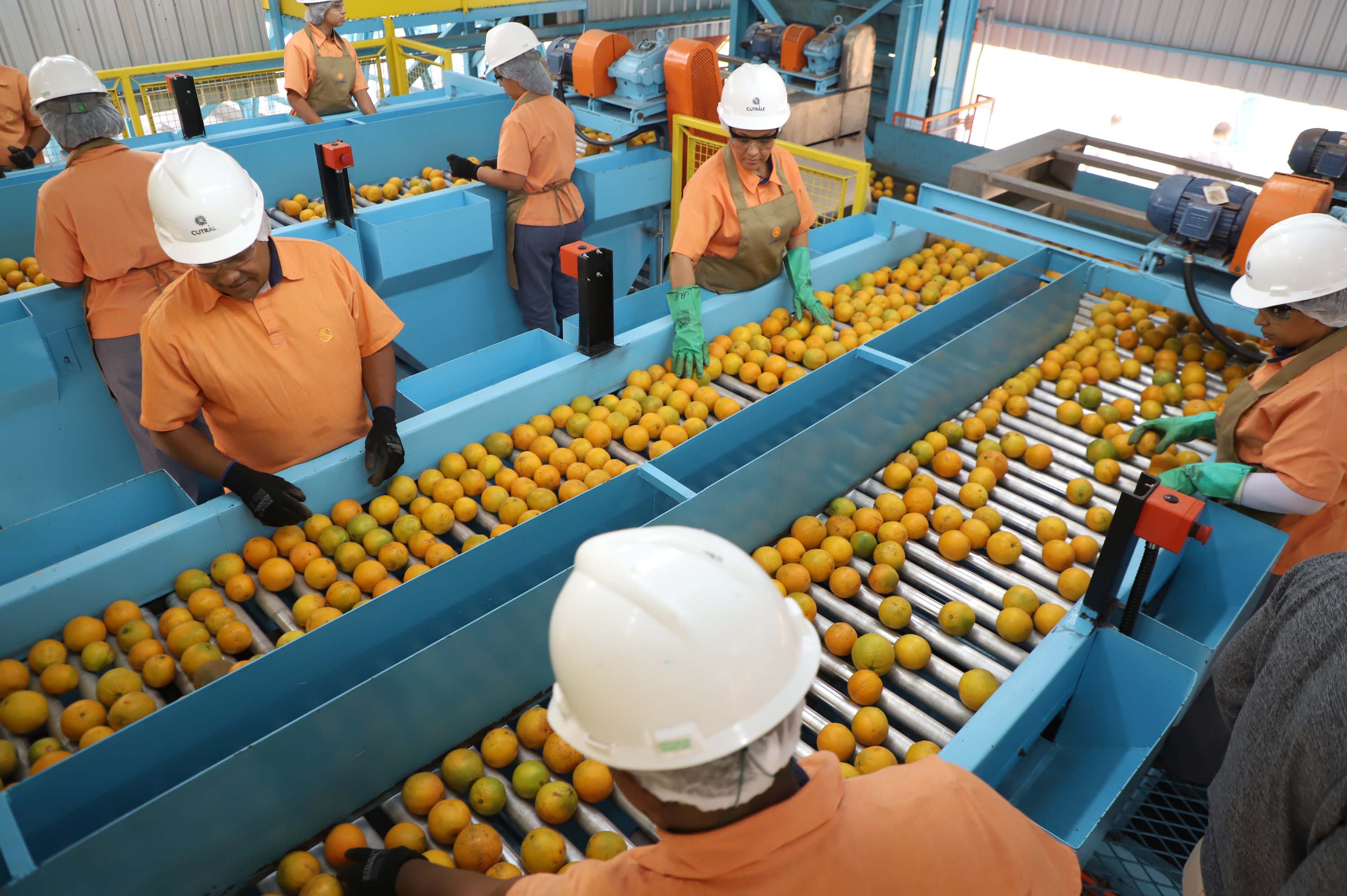 Indústria de suco de laranja investe R$ 20 milhões em nova unidade no Paraná