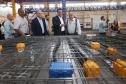 Cascavel ganha primeira fábrica automatizada de prédios do Brasil