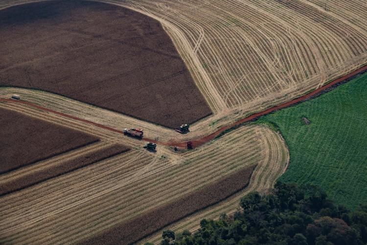 Paraná teve maior crescimento econômico do Brasil nos primeiros cinco meses de 2025