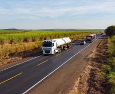 Com mercado de caminhões em alta, Paraná alcança novas marcas expressivas no setor