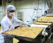 311 cidades do Paraná tiveram saldo positivo na geração de empregos no 1º trimestre
