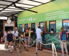 Setor de serviços no Paraná cresce acima da média nacional em agosto