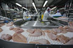 Cinco frigoríficos paranaenses podem ser habilitados a exportar para a China