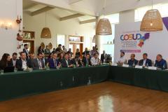 Cosud deve ganhar CNPJ próprio e fórum permanente com temas para debate