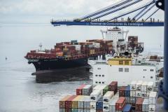 Com vendas recordes ao Oriente Médio, exportações do Paraná chegam a US$ 21 bilhões no ano