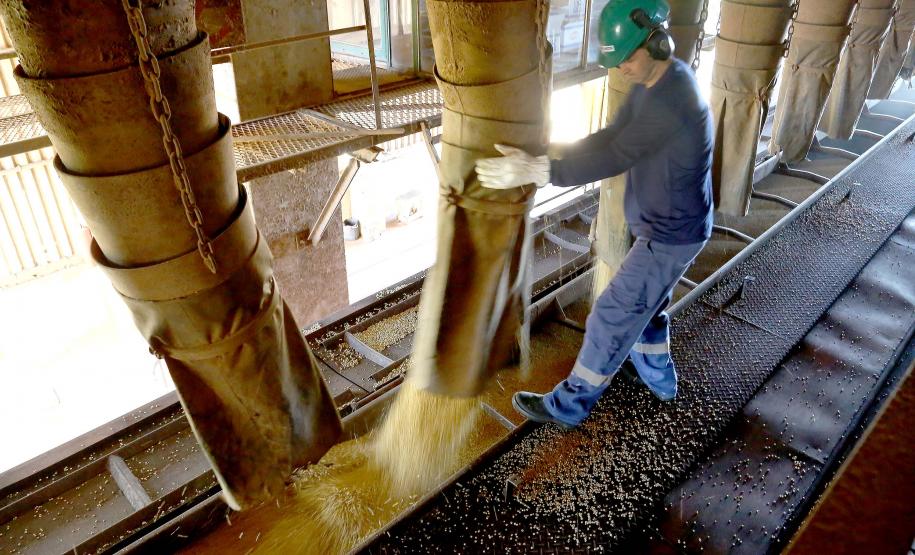 Exportações paranaenses crescem 13,7% em 2023, melhor desempenho do Sul e Sudeste