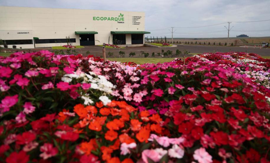 Cascavel ganha primeira fábrica automatizada de prédios do Brasil