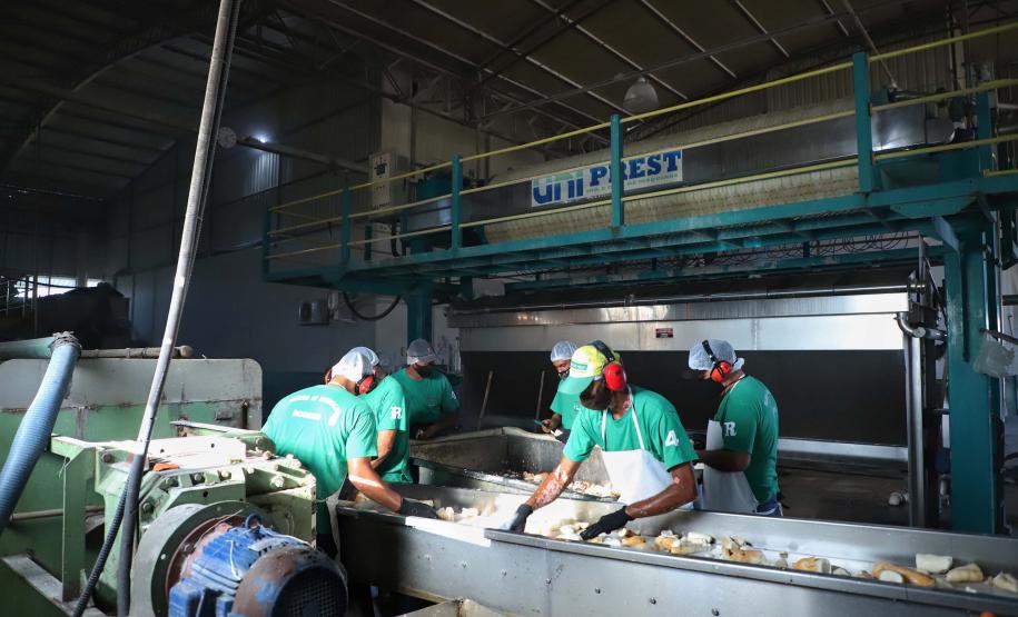 311 cidades do Paraná tiveram saldo positivo na geração de empregos no 1º trimestre