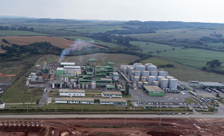 Paraná alavanca industrialização da soja no País com investimentos bilionários