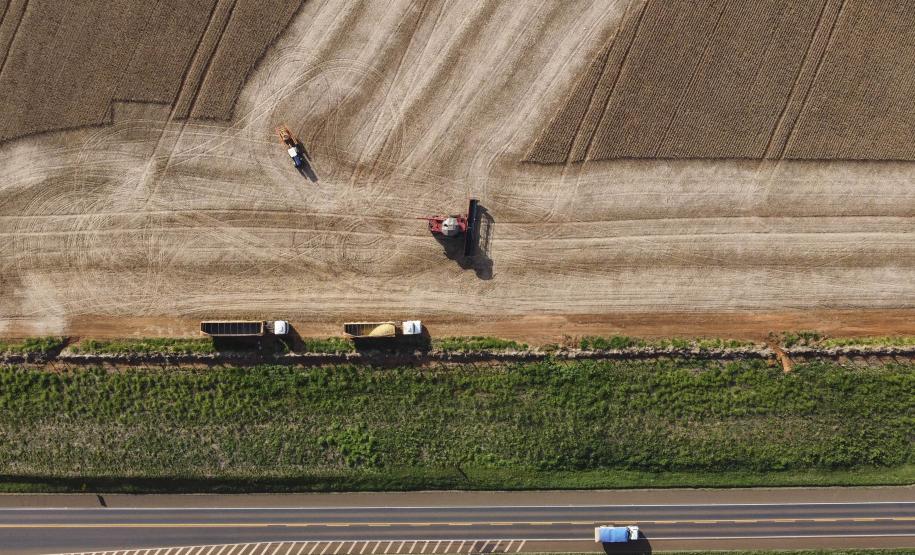 Com alta no PIB, relatório do IBGE consolida Paraná como quarta maior economia do Brasil